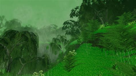 Rainforest Environment 的图像结果