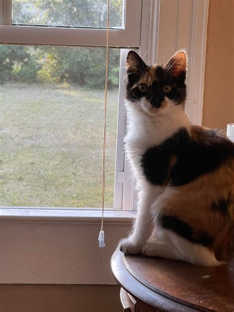 Recently developed some old negatives. Outside the Jay Leno show on December 1, 2003 : r/toriamos