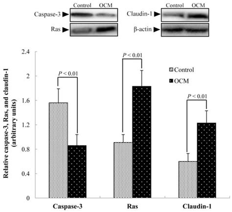 Dietary Supplementation with Oleum Cinnamomi Improves Intestinal ...