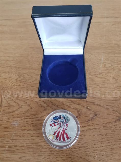 1999 US American Painted Silver Dollar (Anchorage, AK) | GovDeals