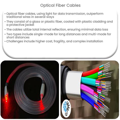 Optical Fiber 的图像结果