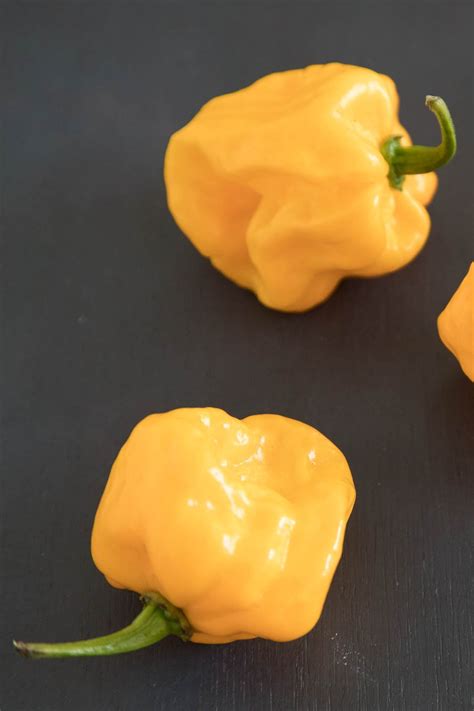 Sweet & Mild Chili Peppers - Chili Pepper Madness