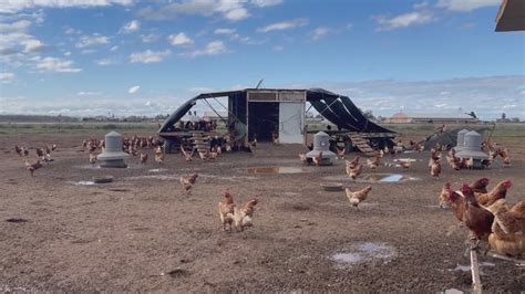 Tulare County Sheriff's farm feeds inmates, saving $1M a year - CBS47 ...