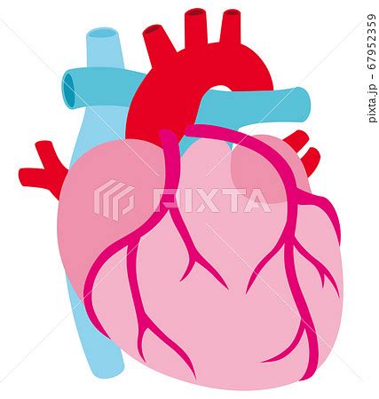 Image result for Complete Sample Time Sampling for Observation