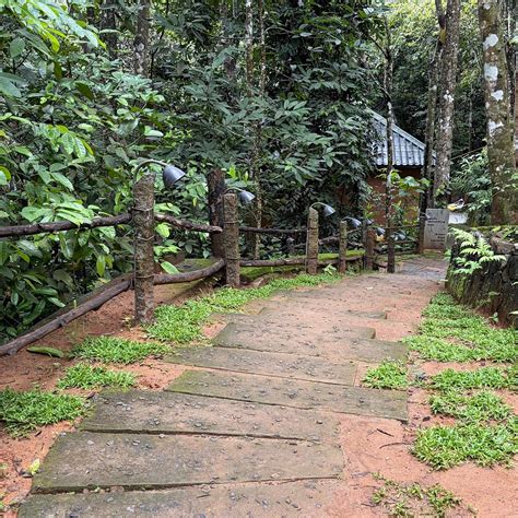 CHEMBARATHI WAYANAD (Vaduvanchal) - B&B Reviews, Photos, Rate ...