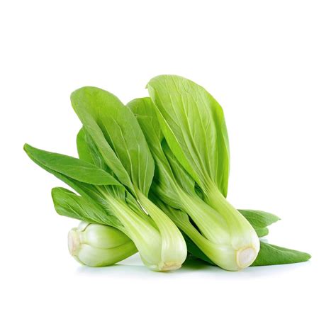 Fresh Xiao Bai Cai Leaves Online Singapore | Buy Fresh Xiao Bai Cai Online Singapore | Fresh ...