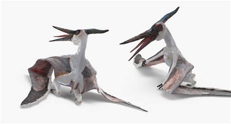 Pterosaur Pteranodon White Standing Pose with Fur 3D model | 3D Molier ...