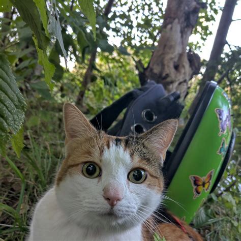 THE BEST Places to Visit in Hyllinge (2026) - Must-See Attractions