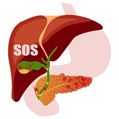 LIVER DISORDERS - Causes, Symptoms & Treatments with Herbal | Ayurvedi ...