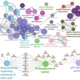 Image result for Cytoscape Network Analysis Tutorial