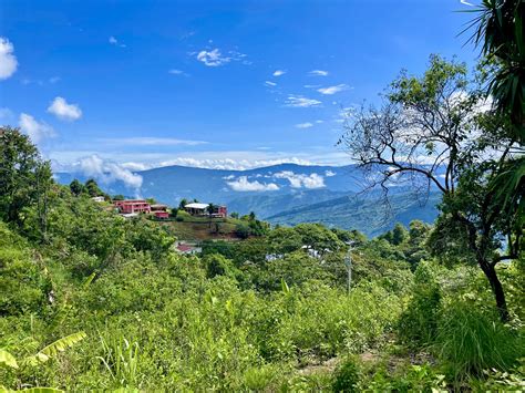 The Opposite of Poverty Isn't Wealth - Trickle Up