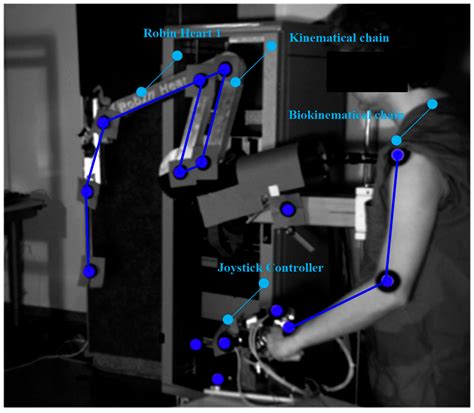 Specifying Inputs for the Computational Structure of a Surgical System ...