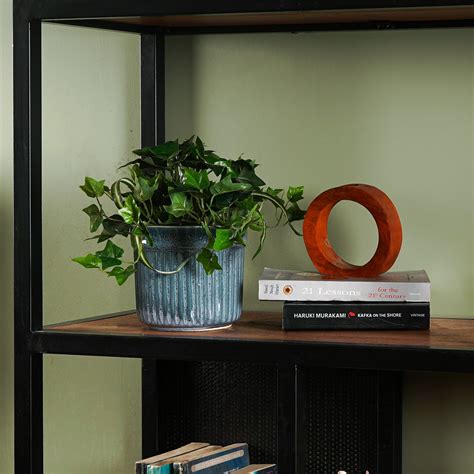 EverIvy plant – The Artment