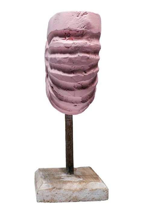 Rustic Shell Reflections Baby Pink – Decorcorner