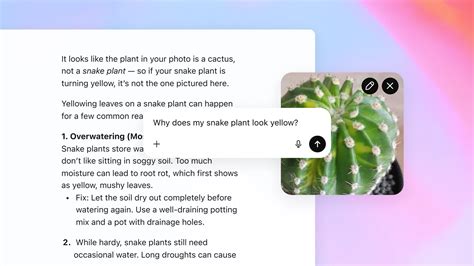 Openai GPT 5 的图像结果