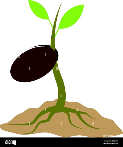 Life Process 的图像结果