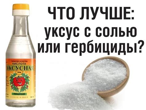 Уксус и соль против сорняков: рецепты, пропорции, ТОП-10 эффективных ...