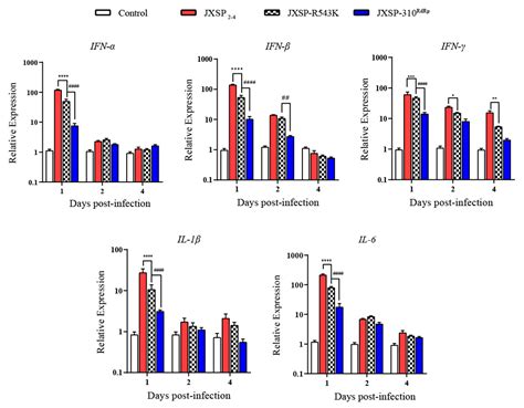 Amino Acid Substitutions in NS5 Contribute Differentially to Tembusu ...
