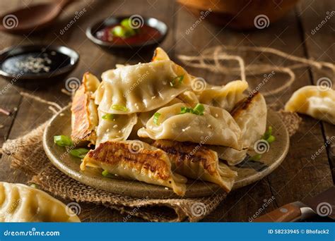Homemade Asian Pork Potstickers Stock Image - Image of stickers, asian: 58233945