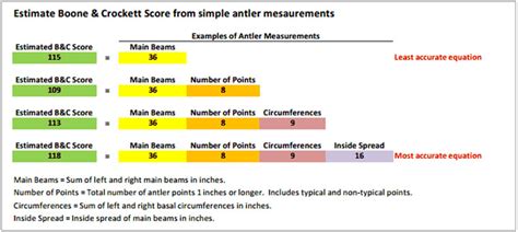 Estimating Boone & Crockett Score | Deer Ecology & Management Lab ...