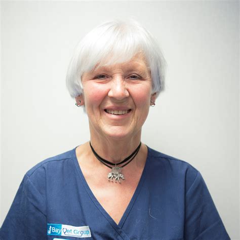 South Bay Veterinary Group