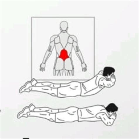Image result for Back Extension Exercise Instructions