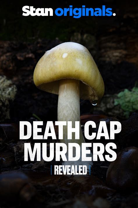 Morbius Online Subtitrat 的图像结果