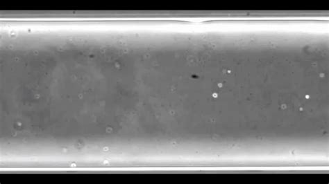 Strange and amazing: Water found on another planet twice as big as ...