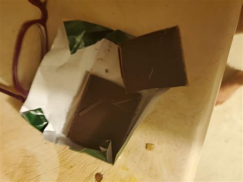 My dog ate dark chocolate. Is she okay or needs a vet? | Petco