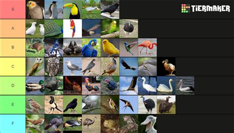 Image result for Libcamera Examples