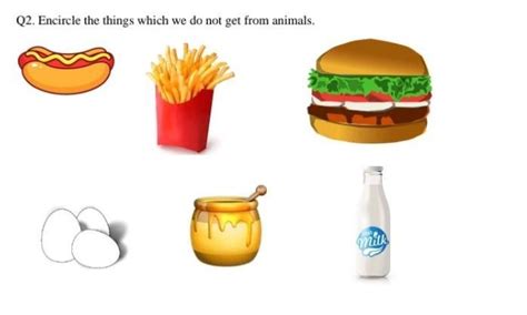 can u answer this question - Brainly.in