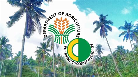 Philippine Coconut Authority, bibigyan ng sapat na pondo ni PBBM para ...