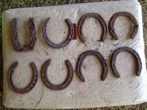 Image result for horseshoe left right