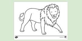Giraffe Colouring | Colouring Pages for Kids | Twinkl
