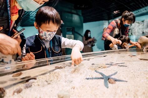 Pingtung Marine Museum｜Itinerary Experience: Mini-narrator・Fishing ...