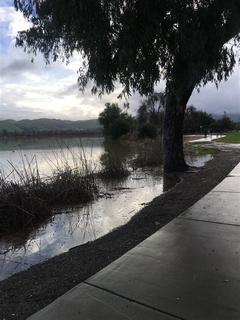 Lake Elizabeth Overflows: Fremont Photos Of The Day | Fremont, CA Patch