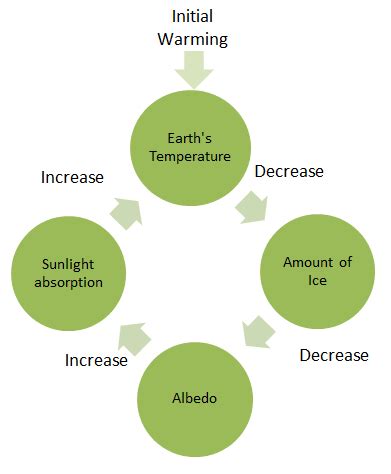 Feedback Loop Examples
