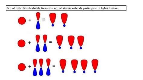 Image result for Hybridization Examples