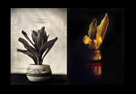 Kallitypes — Quinn Jacobson - Wet Plate Collodion Photography and ...