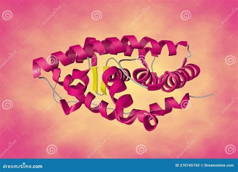 Crystal Structure of Human Estrogen-related Receptor Gamma Ligand Binding Domain Complex with ...