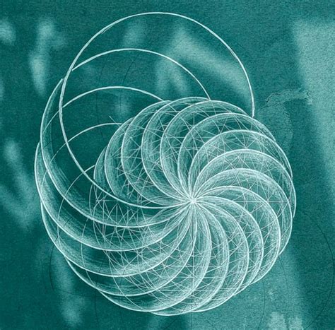 The Geometry Of Seashells ~ Sacred Geometry Drawing Class ~ Lennox Head ...