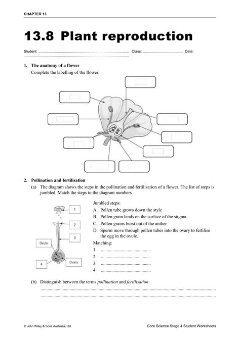 Plant Reproduction Worksheet Answers – Ame.my.id - reproduction of plants question answers