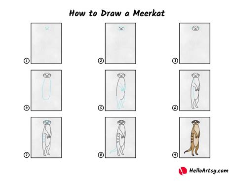 How to Draw a Meerkat - HelloArtsy