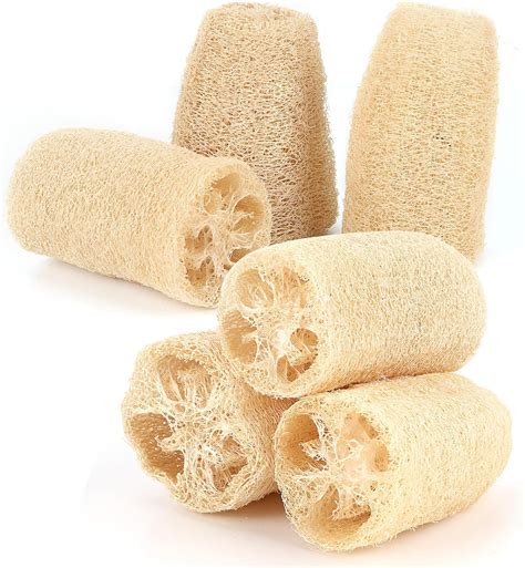 6 Pieces Loofah Sponge Natural Natural Loofah Exfoliating Biodegradable ...