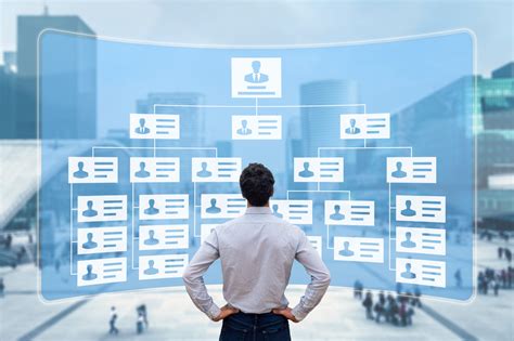 Divisional Structure 的图像结果