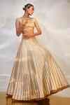 Buy Ivory Silk, Denim Cut Work, Embroidery V-neck Chevron Lehenga And ...
