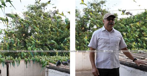 മെയ്യഴകനിലെ അരവിന്ദ് സ്വാമിയുടെ കഥാപാത്രം– സുദർശൻ ഷാ, ചെന്നൈയിലെ തത്ത ...