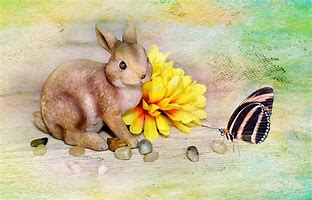 Image result for Knitted Easter Bunny Pattern