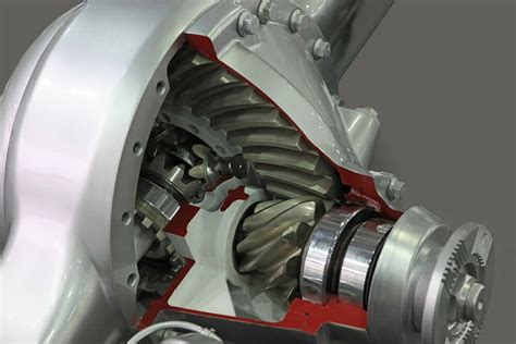 Rear Differential Replacement Cost