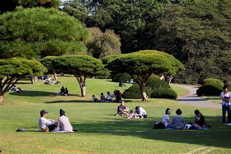 Tokyos Oasen - Parks und Gärten zum Entspannen in Japans Hauptstadt